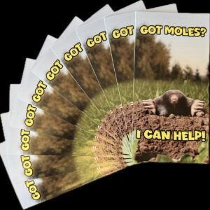MO Manual/Gospel Tract-KJV